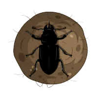 Dung Token