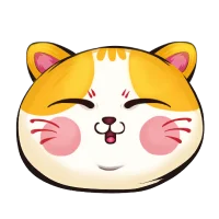 Cat Finance