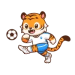 WorldCup Fi