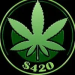 Stoner on solana