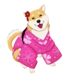 Asian Shiba