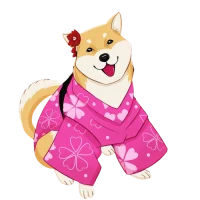 Asian Shiba