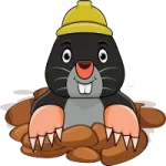Molecoin