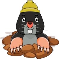 Molecoin