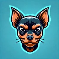 Noopiecoin
