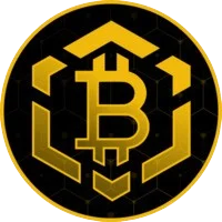 Bitcoin BSC