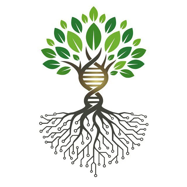 Root5 DAO