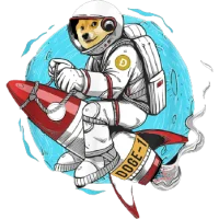 Doge1 mission to the moon