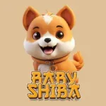 Baby shiba
