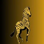 Goldenzebra