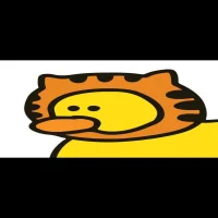 Cat duck