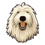 KOMONDOR