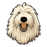 KOMONDOR