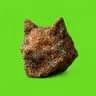 Copper Inu