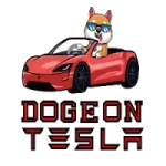 Doge On Tesla