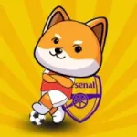 BabyFootBall