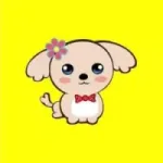 K0Doge