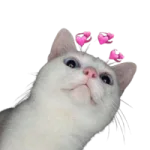 LUV