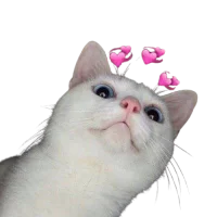 LUV