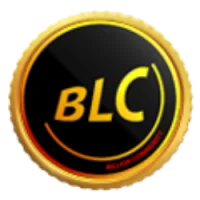 Billion Local Coin