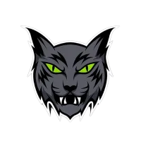 The Cat Inu