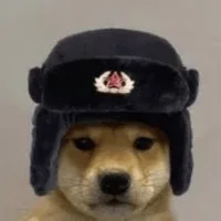 DogWifShapka