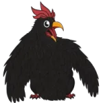 Black Cock