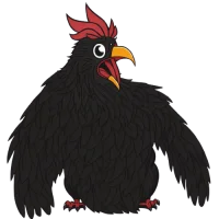 Black Cock