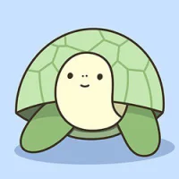 Summer TURT