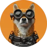 SORA DOGE