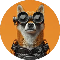 SORA DOGE