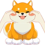 BabyShibaInu