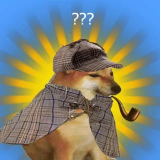 pipedog