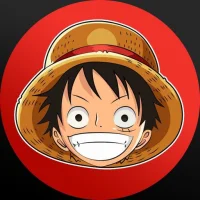 LUFFY COINS