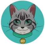 Shira Cat