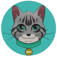 Shira Cat