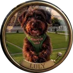 Luly