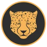 Kitty Kat Coin