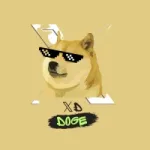 X DOGE