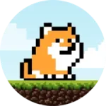 PlayDoge Sol Token