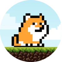 PlayDoge Sol Token