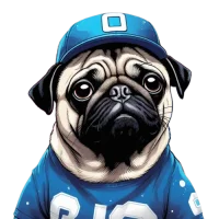 Galactic Pug Coin