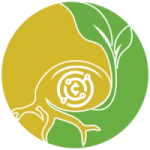 Seed Protocol