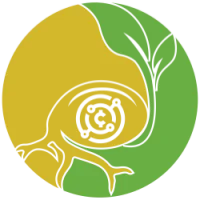 Seed Protocol