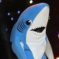 Shork