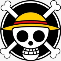 One Piece Token