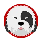 SHAGGY INU