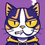 Meow Of MeMe