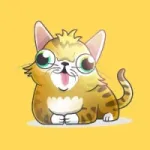 Googly Cat
