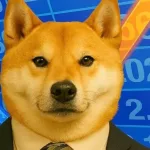 sp dog